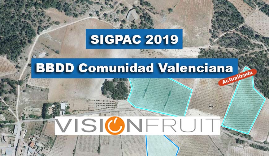 SIGPAC 2019 ACTUALIZADA PARA VISIONFRUIT