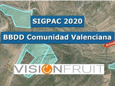 SIGPAC 2020 ACTUALIZADA PARA VISIONFRUIT