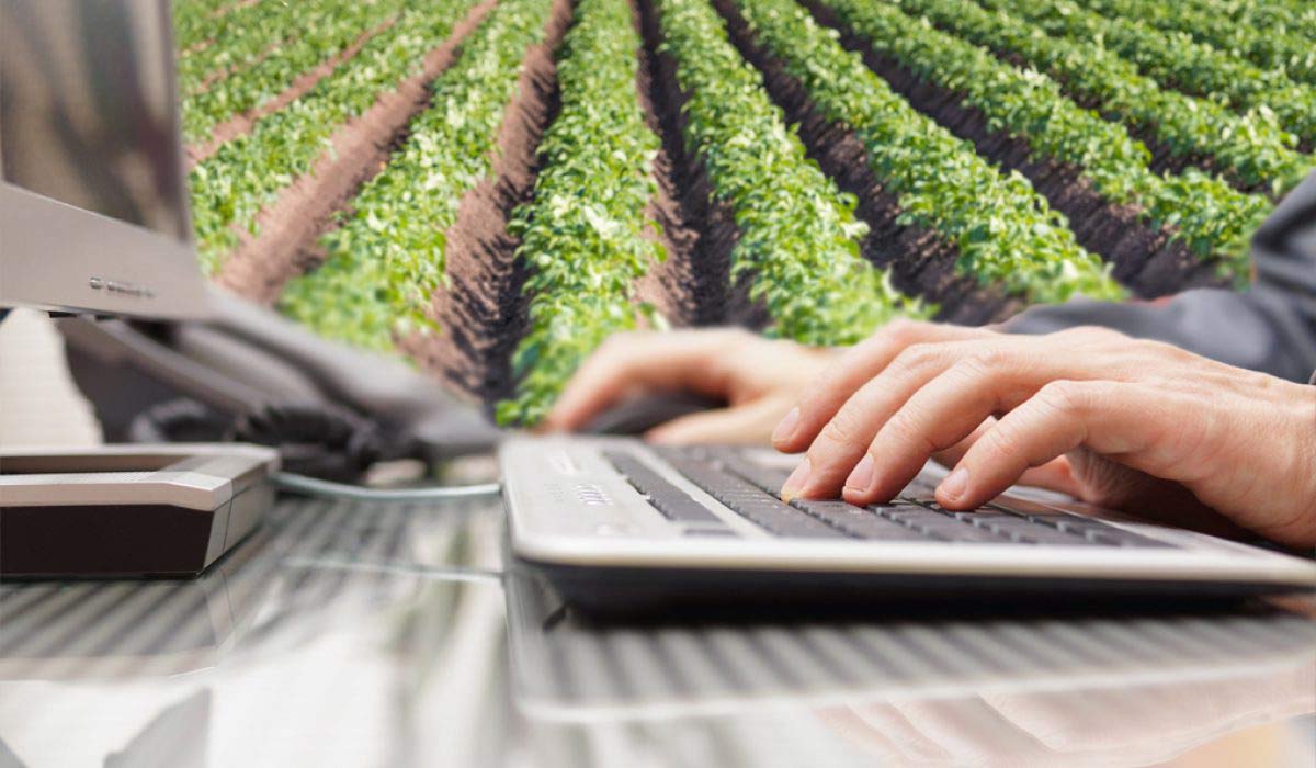 La digitalización de la empresa agroalimentaria