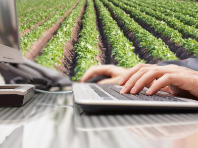 La digitalización de la empresa agroalimentaria